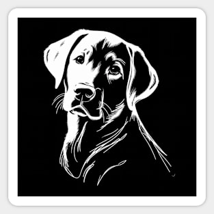Portrait of a Labrador Sticker